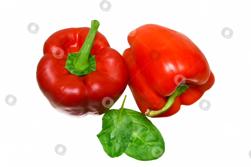 Скачать Два аппетитных красных болгарских перца и два зеленых сочных листа шпината на прозрачном фоне, изолированное фото фотосток Ozero