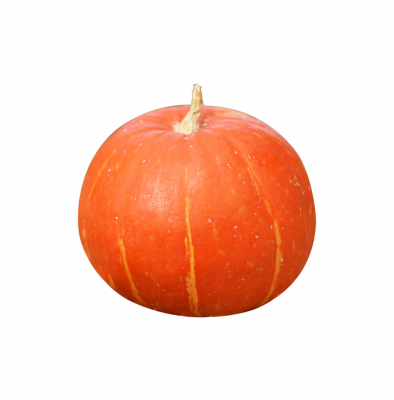 [object Object] undefined