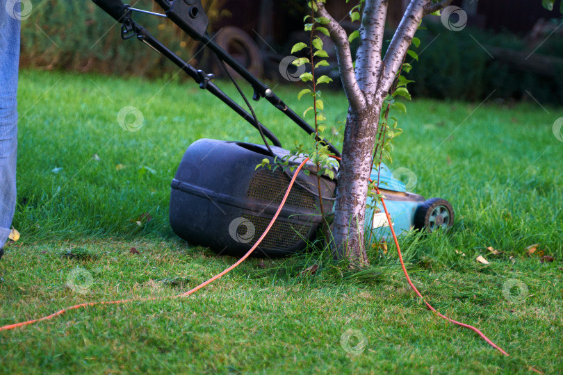 Скачать Мужчина в джинсах с газонокосилкой подстригает газон, усыпанный опавшими осенними листьями. Фото снизу, в кадре только ноги фотосток Ozero