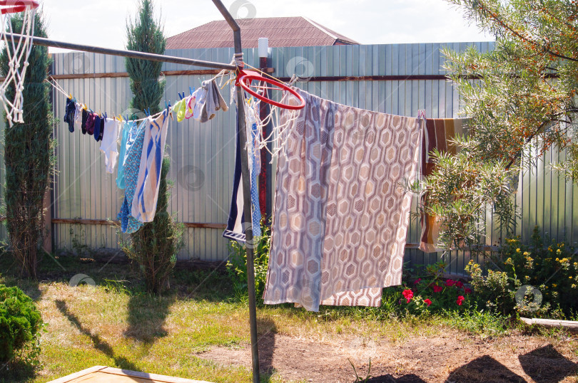 Скачать Сушка белья на улице во дворе в окружении разных хвойных и цветущих растений фотосток Ozero