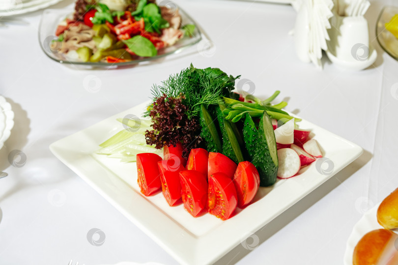 Скачать Ассорти из свежих овощей с огурцами и помидорами. фотосток Ozero