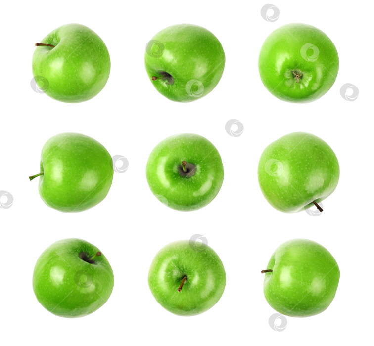 Скачать Зеленые спелые яблоки. Яблоки Грэнни Смит. Выделенные на белом фоне. Коллекция с видом сверху. фотосток Ozero