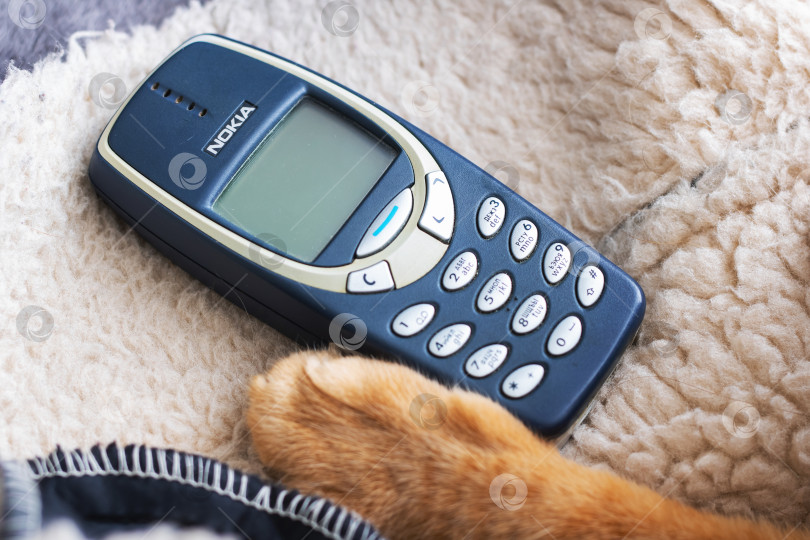Скачать Беларусь, Минск - 11.01.2025: Мобильный телефон Nokia лежит на одеяле рядом с кошачьей лапой фотосток Ozero