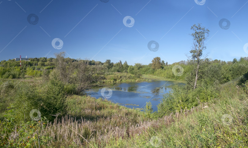 Скачать Летний европейский пейзаж с небольшим озером фотосток Ozero