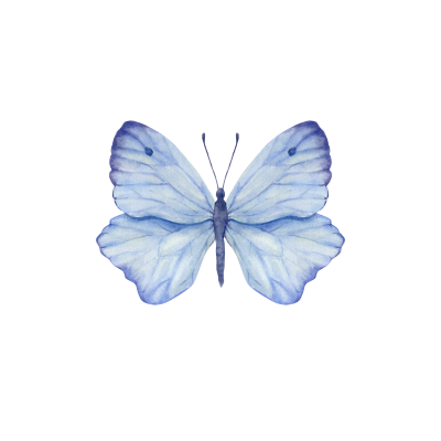 [object Object] undefined