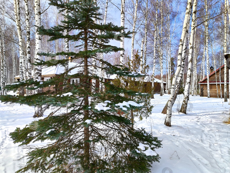 Скачать Зимний деревенский пейзаж фотосток Ozero