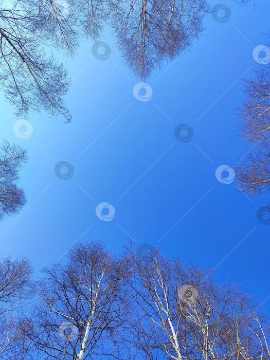 Скачать Небесный пейзаж фотосток Ozero