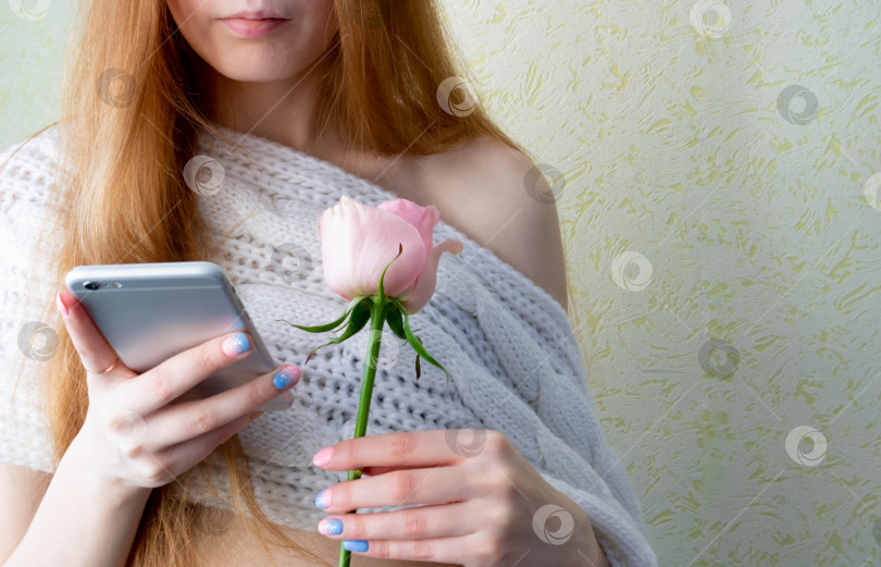 Скачать Женщина держит в руках свой смартфон и розовую розу фотосток Ozero