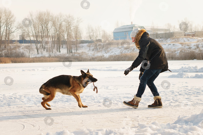 Скачать Выгуливать собаку фотосток Ozero