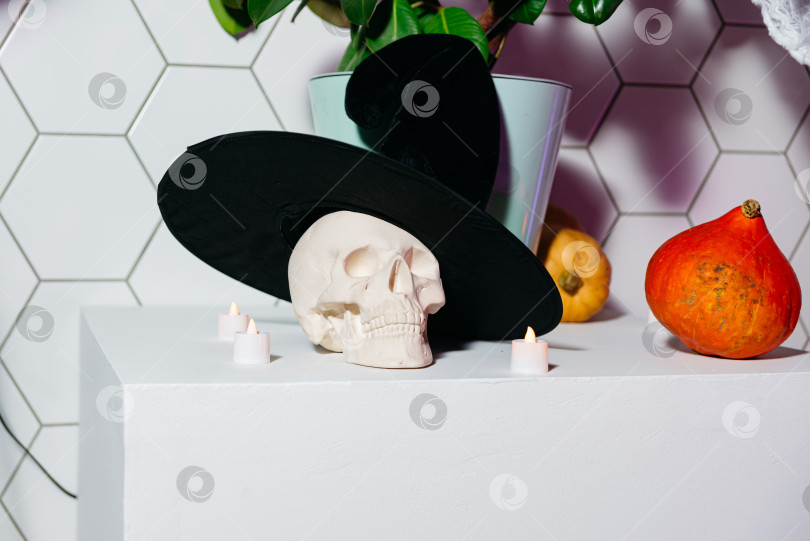 Скачать Череп на Хэллоуин со шляпой ведьмы и тыквами. фотосток Ozero