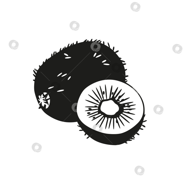 Скачать Летний фрукт-силуэт киви, полезный для здоровья. Черный значок киви целиком и нарезанный ломтиками на белом фоне. Мультяшная плоская векторная иллюстрация. фотосток Ozero