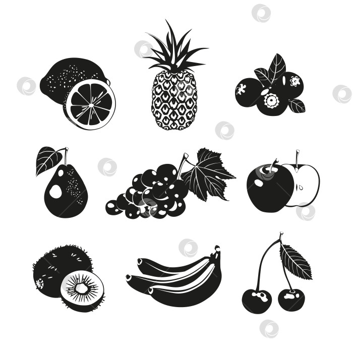 Скачать Коллекция иконок летней здоровой фруктовой пищи. Набор красивых черных силуэтов с различными фруктами и ягодами. Векторная иллюстрация. фотосток Ozero