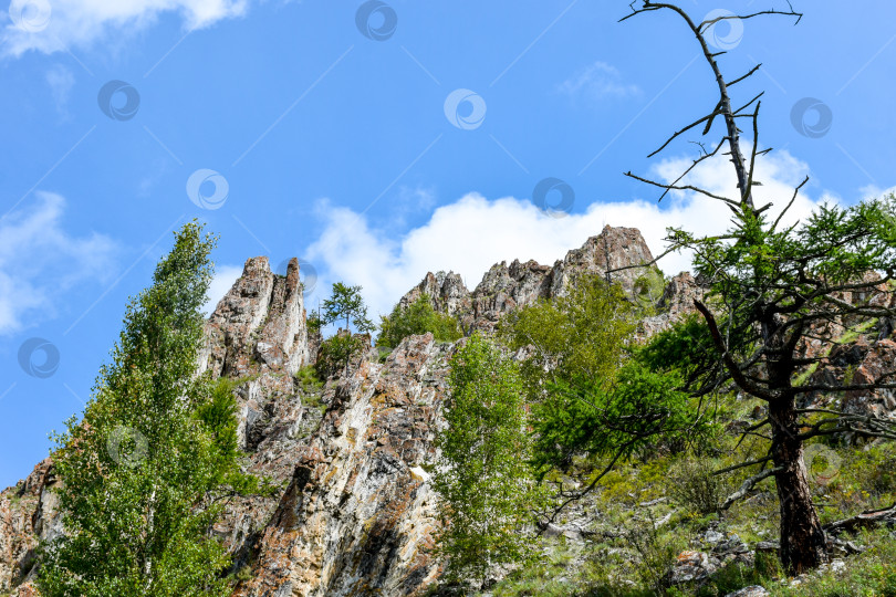 Скачать Горный пейзаж фотосток Ozero