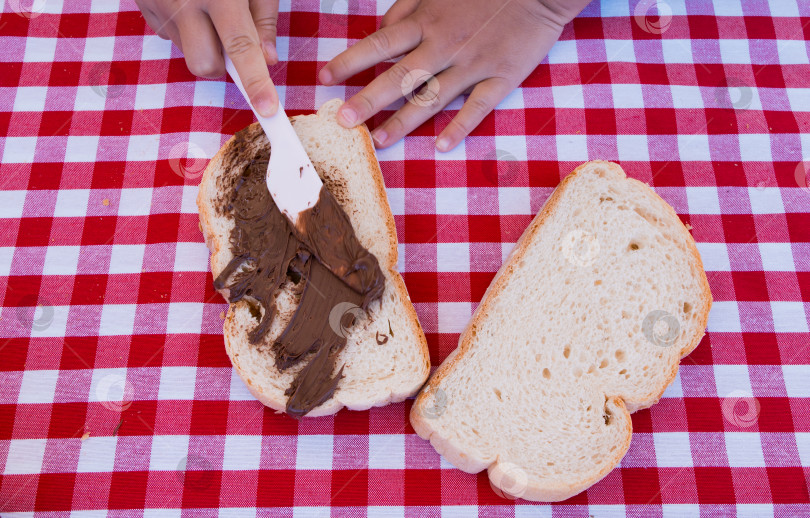 Скачать Ребенок, намазывающий шоколад на хлеб на пикнике с красной клетчатой скатертью фотосток Ozero