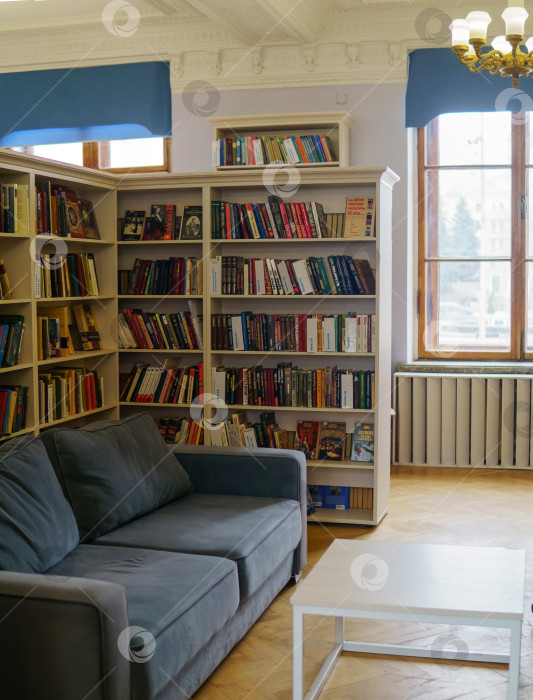 Скачать Интерьер библиотеки с диваном и книжными полками с бумажными книгами фотосток Ozero