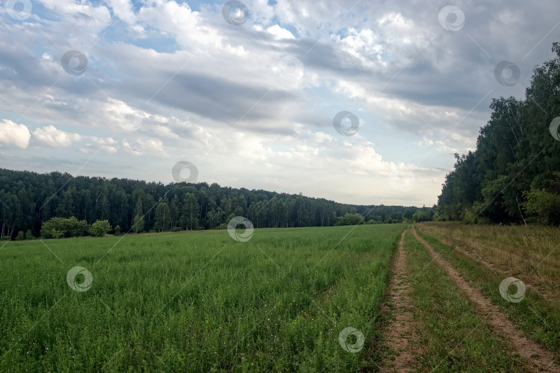 Скачать Грунтовая дорога в сельской местности в пасмурный день фотосток Ozero