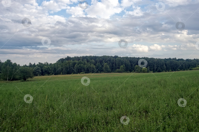 Скачать Грунтовая дорога в сельской местности в пасмурный день фотосток Ozero