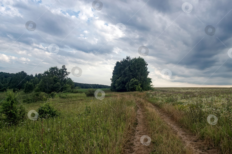 Скачать Грунтовая дорога в сельской местности в пасмурный день фотосток Ozero