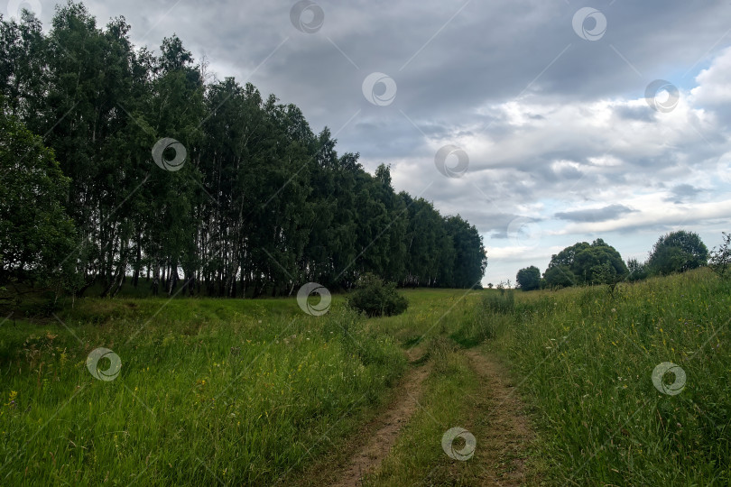 Скачать Грунтовая дорога в сельской местности в пасмурный день фотосток Ozero