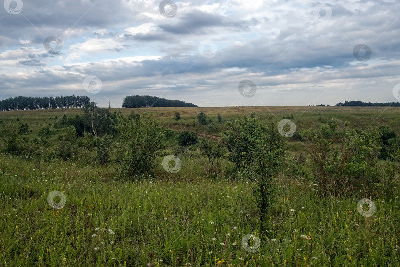 Скачать Грунтовая дорога в сельской местности в пасмурный день фотосток Ozero