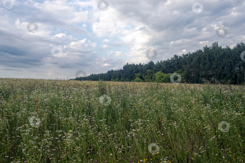 Скачать Грунтовая дорога в сельской местности в пасмурный день фотосток Ozero