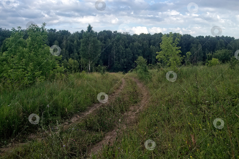 Скачать Грунтовая дорога в сельской местности в пасмурный день фотосток Ozero
