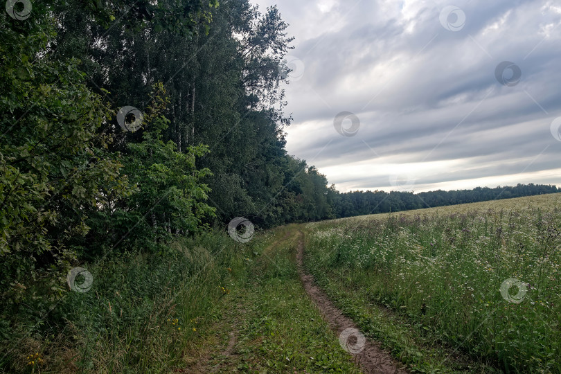 Скачать Грунтовая дорога в сельской местности в пасмурный день фотосток Ozero