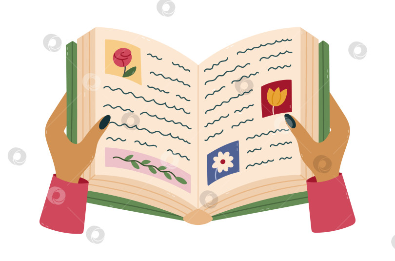 Скачать Милая мультяшная открытая книга в женских руках с абзацами и картинками. Симпатичная учебная книга, ботаническая энциклопедия, нарисованная от руки. Школьные принадлежности, выделенные на белом фоне. Концепция чтения, когда дети учатся. фотосток Ozero