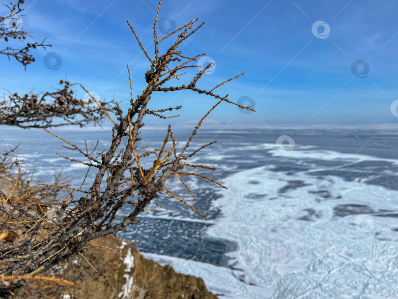 Скачать Белый фургон едет по заснеженной дороге фотосток Ozero