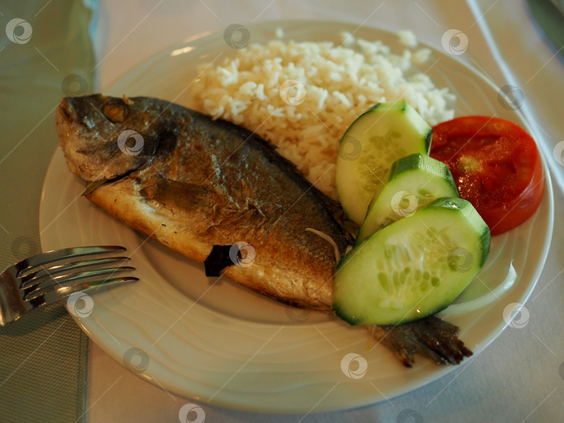 Скачать Сибас дорадо, морской окунь с рисом и овощами на тарелке фотосток Ozero