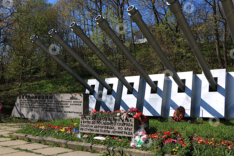 Скачать Россия, Санкт-Петербург, 9 мая 2019 года.На фотографии - памятник на Вороньей горе авроровцам, защищавшим город Ленинград в 1941 году и погибшим в ожесточенных боях. В День Победы сюда возлагают цветы фотосток Ozero