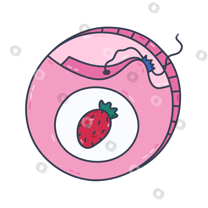 Скачать Очаровательная красочная зубная нить doodle в круглой упаковке со вкусом клубники. Модный контейнер для зубных нитей с ручной росписью и этикеткой для гигиены межзубных промежутков. Клипарт для инструментов по уходу за полостью рта, выделенный на белом фоне фотосток Ozero