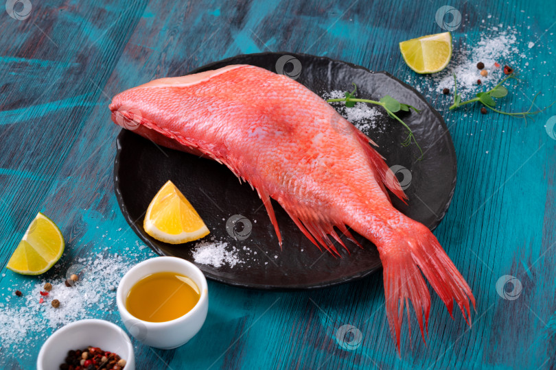 Скачать Клювастый морской окунь, приготовленный для приготовления блюда с другими ингредиентами на синем столе фотосток Ozero