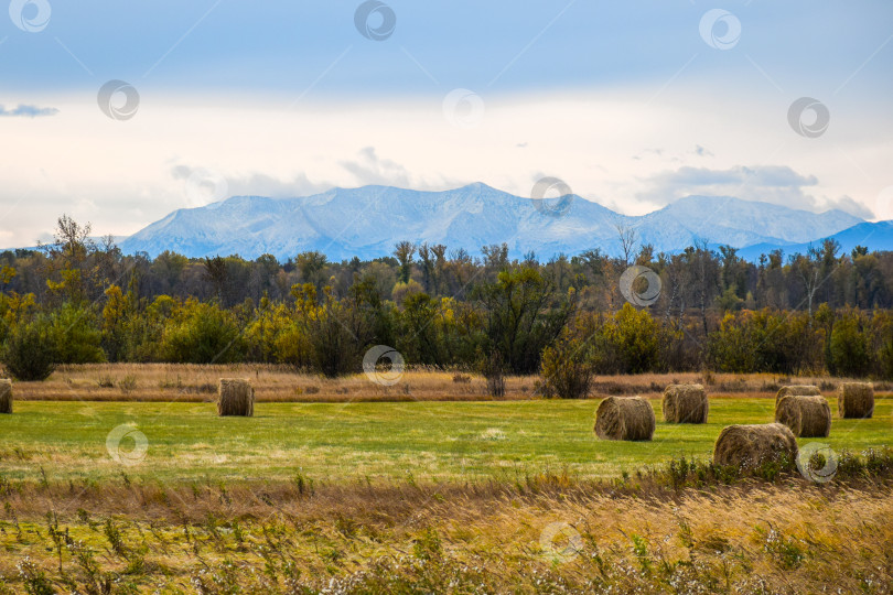 Скачать Осенний пейзаж фотосток Ozero
