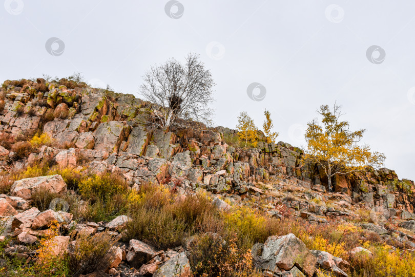 Скачать Осенний пейзаж фотосток Ozero
