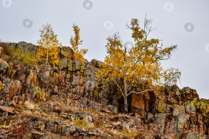 Скачать Осенний пейзаж фотосток Ozero