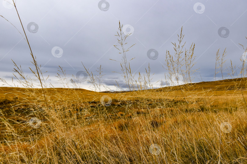 Скачать Осенний пейзаж фотосток Ozero