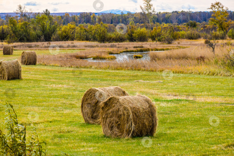 Скачать Осенний пейзаж фотосток Ozero
