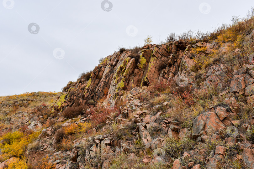 Скачать Осенний пейзаж фотосток Ozero