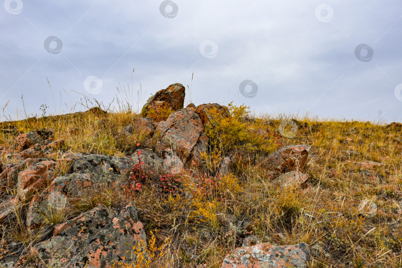 Скачать Осенний пейзаж фотосток Ozero