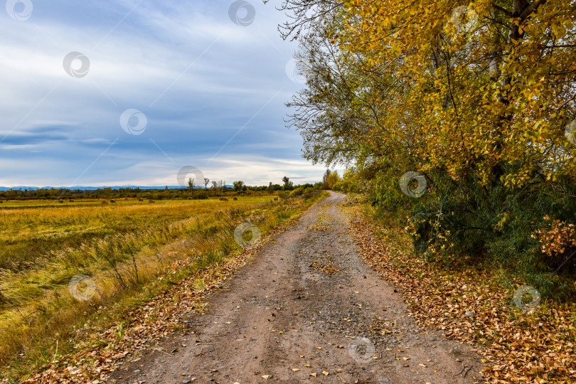 Скачать Осенний пейзаж фотосток Ozero