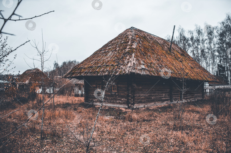 Скачать Маленький домик с соломенной крышей стоит в поле фотосток Ozero