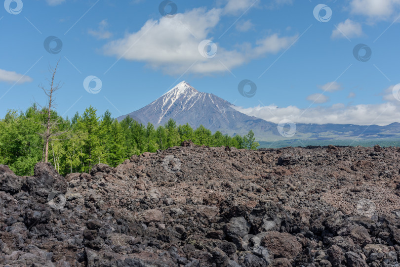 Скачать Шлаковые поля с вулканом на заднем плане фотосток Ozero