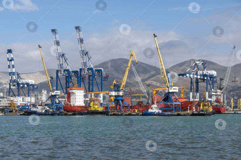 Скачать Новороссийск, Россия, 18.08.2023. Портовые краны, Черное море, порт, Краснодарский край, Новороссия фотосток Ozero