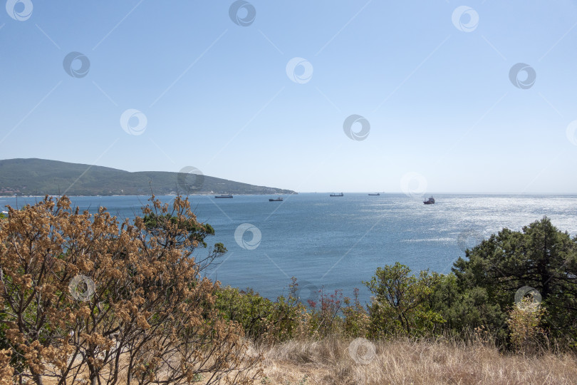 Скачать крупное морское судно для перевозки грузов под парусом Черное море, порт, Краснодарский край, Новороссийск фотосток Ozero