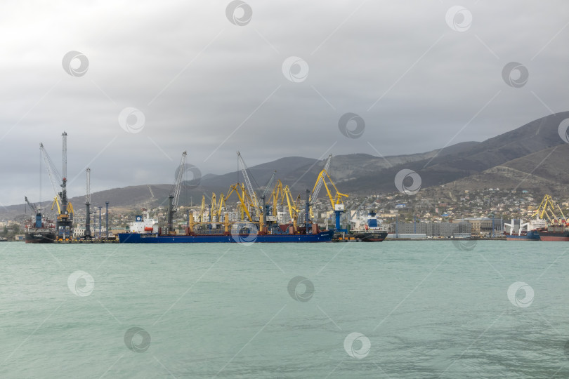 Скачать Новороссийск, Россия, 18.08.2023 - Портовые краны, Черное море, порт, Краснодарский край, Новороссия фотосток Ozero