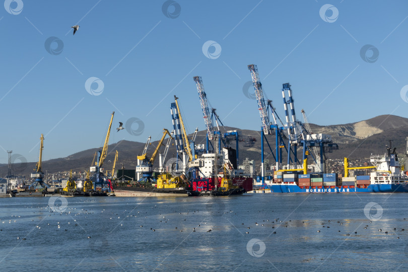 Скачать Новороссийск, Россия, 18.08.2023. Портовые краны, Черное море, порт, Краснодарский край, Новороссия фотосток Ozero
