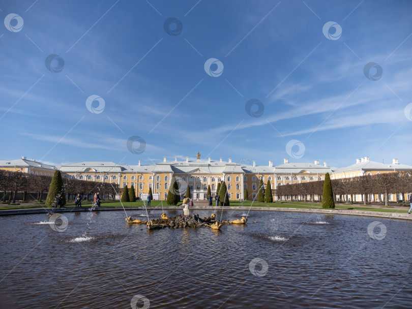 Скачать САНКТ-ПЕТЕРБУРГ, РОССИЯ, 12 мая 2023 года: Петергоф, известный как Петродворец с 1944 по 1997 год, и фонтан Нептуна 12 мая 2023 года в Санкт-Петербурге, Россия фотосток Ozero