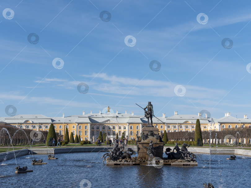 Скачать САНКТ-ПЕТЕРБУРГ, РОССИЯ, 12 мая 2023 года: Петергоф, известный как Петродворец с 1944 по 1997 год, и фонтан Нептуна 12 мая 2023 года в Санкт-Петербурге, Россия фотосток Ozero
