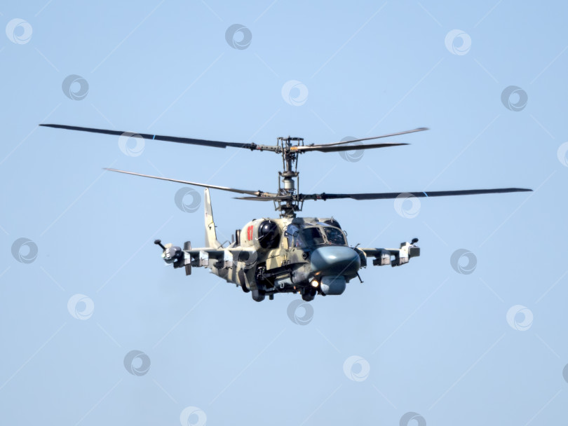 Скачать ЖУКОВСКИЙ, РОССИЯ - 25 июля 2021 года: Демонстрация ударного вертолета Ка-52 "Аллигатор" ВВС России на авиасалоне МАКС-2021, Россия фотосток Ozero